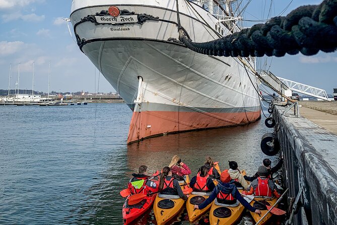 Cultural kayak tour in Stralsund - Key Highlights You Should Not Miss