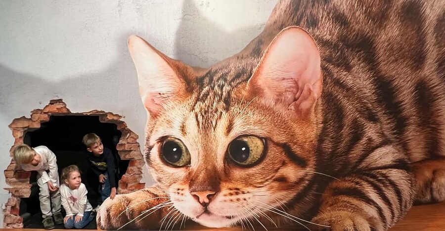 Discover Germany's most exciting photo illusion world! - What’s included in your ticket, and what that means for value