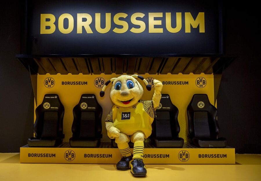 Dortmund: Borusseum Borussia Dortmund Museum Entry Ticket - BORUSSEUM in Dortmund: what you get with your entry ticket