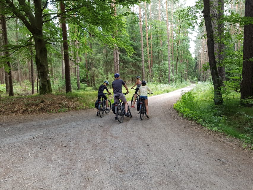 Dresden: E-Bike Tour and Dresden Heath Forest Trails - Alaunplatz and the Switch Into Dresden Heath Forest Trails
