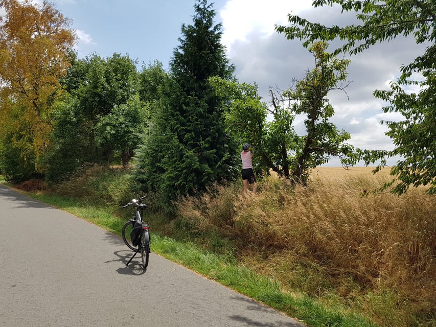 Dresden: E-Bike Tour and Dresden Heath Forest Trails - What to Wear and Bring for Comfort on Forest Paths