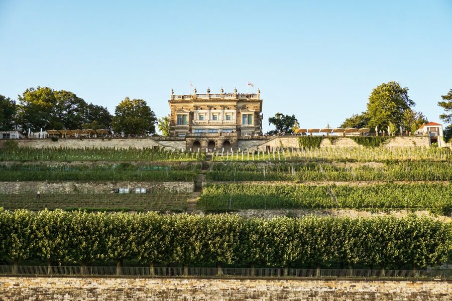 Dresden: Elbe River Cruise to Pillnitz Castle - Who should book, and who might skip it