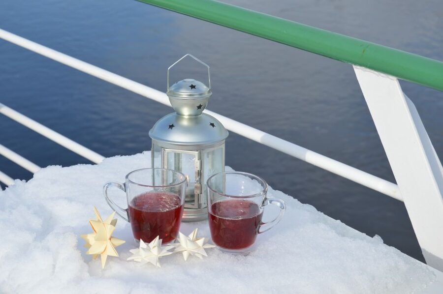 Dresden: Paddle Steamer Winter Cruise to Pillnitz - The 3-hour route: from Old Town views to Blue Wonder Bridge and back