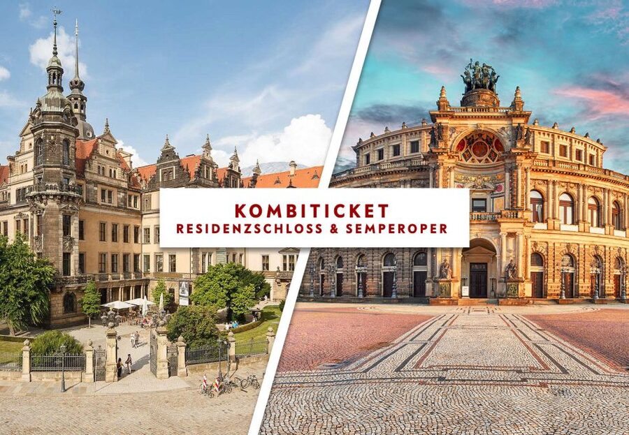 Dresden: Semperoper and Royal Castle - Who this tour suits best in Dresden