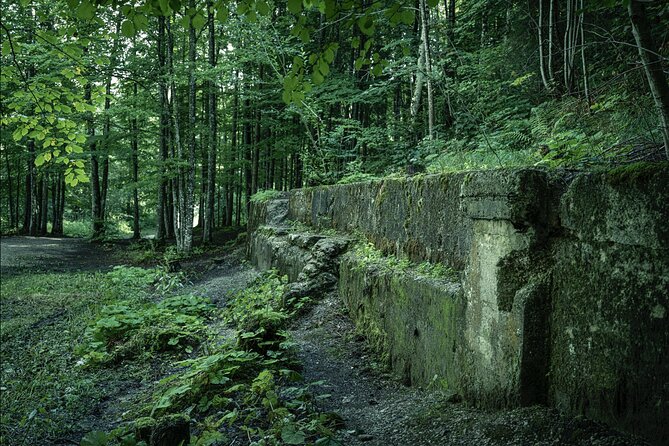 Eagle's Nest-Berchtesgaden-Obersalzberg Private Half Day WWII Historical Tour - Stop 3: Obersalzberg driving tour and the Berghof ruins walk