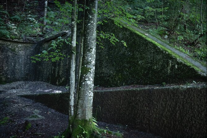 Eagle's Nest-Berchtesgaden-Obersalzberg Private Half Day WWII Historical Tour - Pickup, timing, and what to expect on the ground