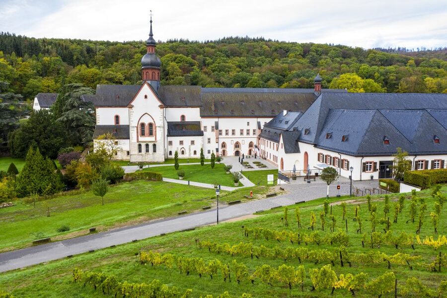 Eltville: Eberbach Monastery Entry Ticket - Eberbach wine house stop: taste what you learned