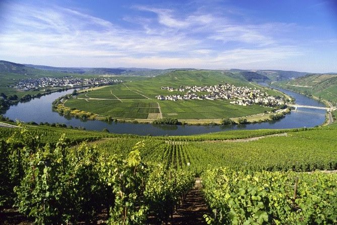 For the love of Riesling - Mosel Wine tour - Key highlights you will actually care about