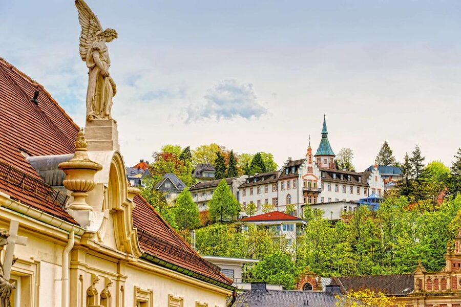 Frankfurt: Baden-Baden, Black Forest, Strasbourg Guided Tour - Guides and driving: what makes the day feel smooth