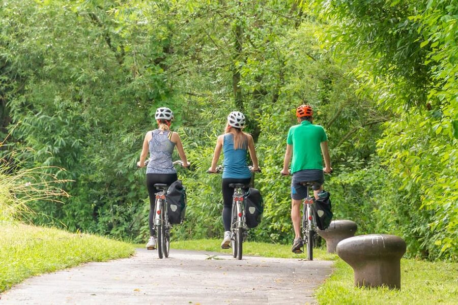 Frankfurt: Full-Day Bicycle or E-Bike Rental - Price and value: why $22 for a day can add up to more time