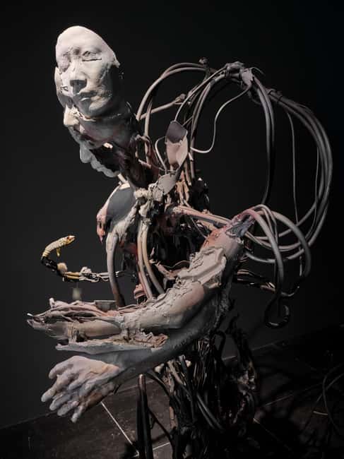 Frankfurter Kunstverein: Admission ticket - Art, science, and society: why this venue feels different than a standard gallery