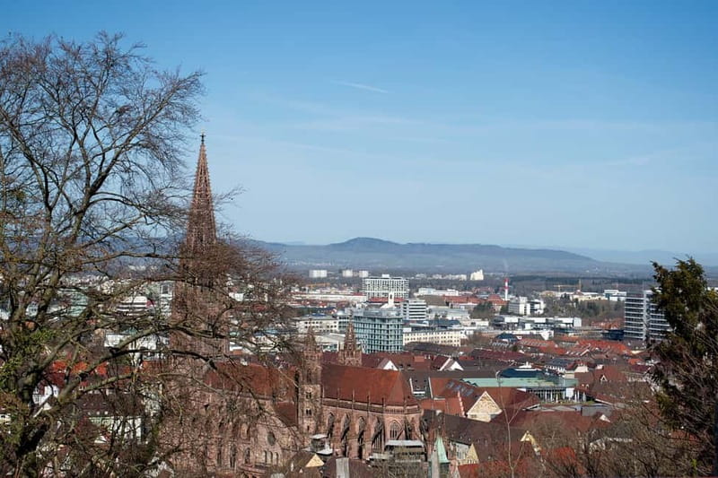 Freiburg City Tour: with visit of the Freiburg Minster - Why this 1.5-hour Freiburg walk works so well