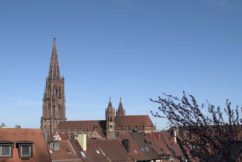 Freiburg City Tour: with visit of the Freiburg Minster - Münsterplatz: the meeting point of views, meaning, and scale