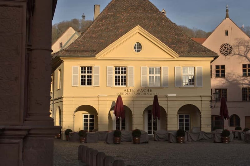 Freiburg City Tour: with visit of the Freiburg Minster - Gerberau along the canals: where the tanner’s quarter comes alive