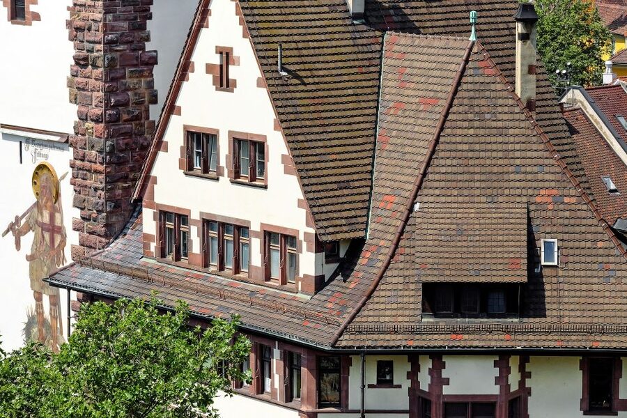 Freiburg: Express Walk with a Local in 60 minutes - Should You Book This Freiburg Express Walk?
