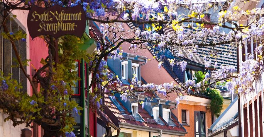 Freiburg: Gässle, Bächle and More City Tour - Freiburg’s Bächle and Gässle, with a guide who knows the tricks