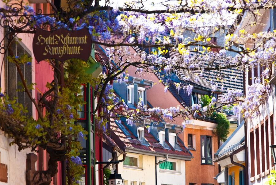 Freiburg: Gässle, Bächle and More City Tour - Start at Schwarzwaldmarie, get your bearings fast