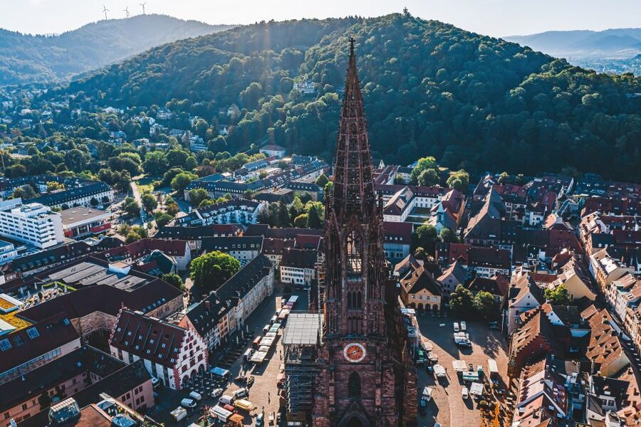 Freiburg: Veni, vidi, vino - wine hike and tasting - Key points you will care about