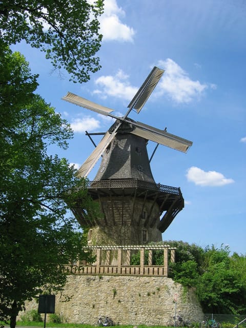 From Berlin: Gardens & Palaces of Potsdam Bike Tour - Key reasons this bike day trip works