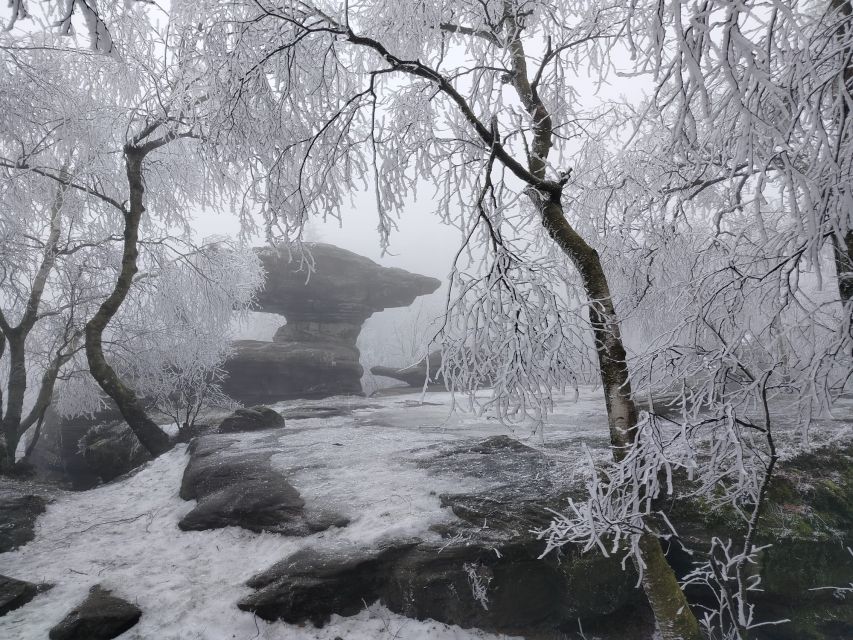 From Dresden: Bohemian & Saxon Switzerland Day Trip - Edmund’s Gorge And The Kamenice Gorge Boat Cruise Balance