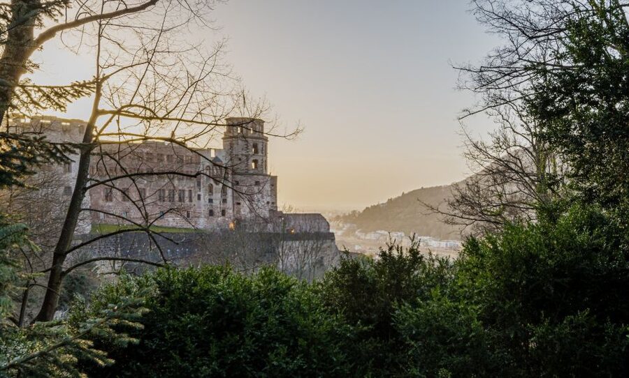 From Frankfurt: Heidelberg and Rothenburg Guided Day Trip - Heidelberg Castle up close, including the terrace views
