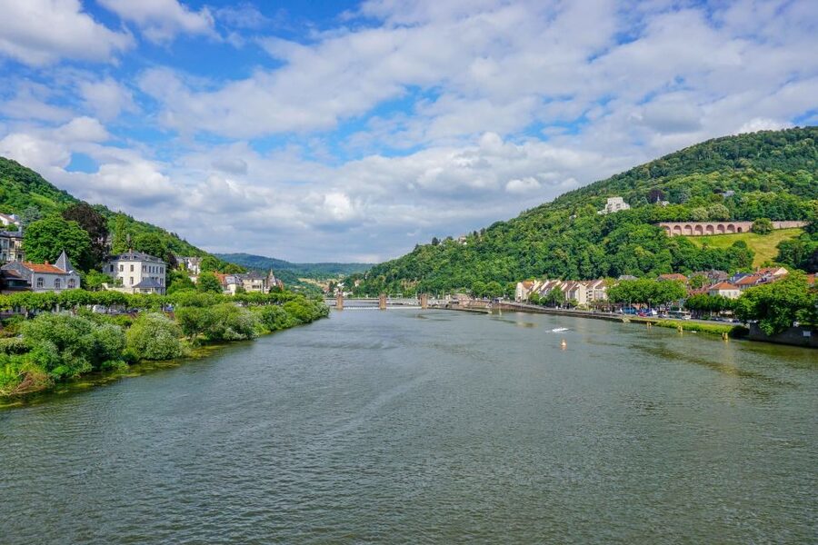 From Frankfurt: Heidelberg, Castle and Old City Guided Tour - Price and Value for a Half-Day Guided Day Trip