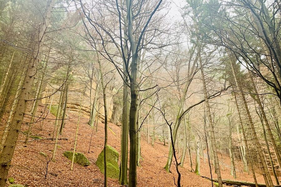 From Prague: Bohemian and Saxon Switzerland Full-Day Tour - Narnia tour option: Tisa Walls, stairs, and film-location vibes