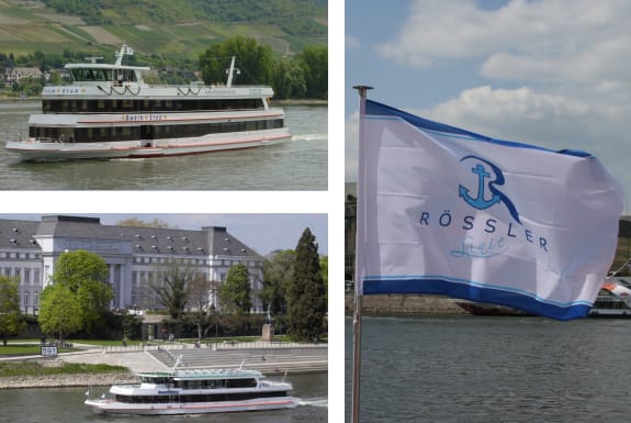 From Rüdesheim: 1.5-Hour Boat Cruise with Wine Tasting - Key highlights at a glance
