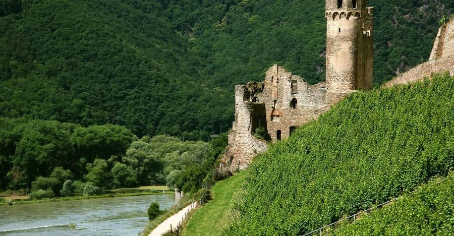 From Rüdesheim: 1.5-Hour Boat Cruise with Wine Tasting - Passing UNESCO scenery: from the Nahe to Klopp Castle
