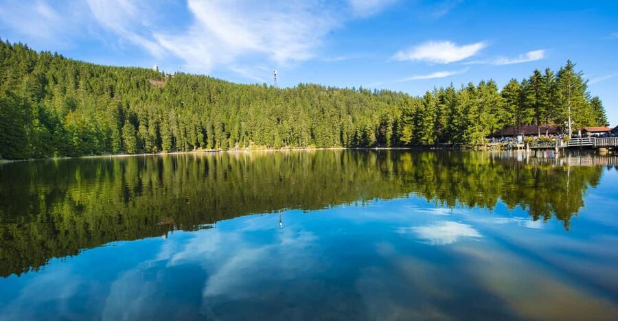 From Strasbourg: Black Forest and Baden Baden Day Trip - Key highlights you’ll feel right away