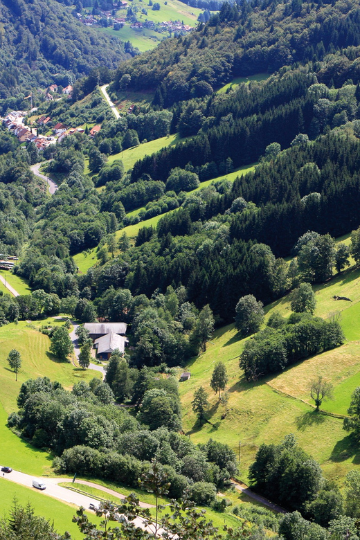 From Strasbourg: Black Forest and Baden Baden Day Trip - Black Forest road trips on Schwarzwaldhochstraße