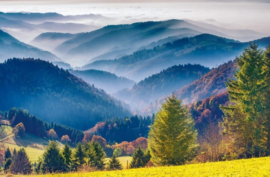 From Strasbourg: Black Forest and Baden Baden Day Trip - Badischer Weinstrasse and Sasbachwalden’s flowered village feel