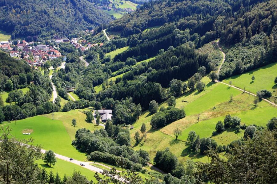From Strasbourg: Black Forest and Baden Baden Day Trip - Who this trip suits best