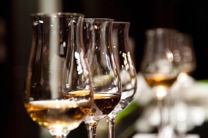 Gin & Rum Tasting in Frankfurt am Main - Price and Value: What You Pay for in Frankfurt