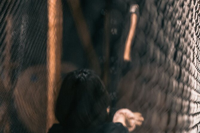 Guided Axe Throwing Experience in Frankfurt Altstadt - Price and Value: Why $29.02 Makes Sense for One Hour