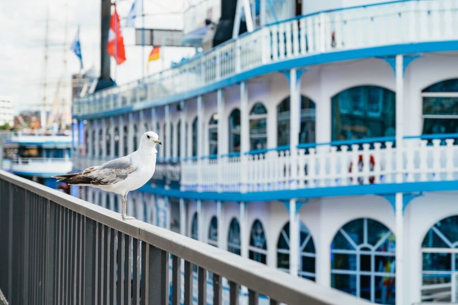 Hamburg: 1-Hour Harbor Sightseeing Cruise with HafenCity - St. Pauli piers and the Elbe River: your quick-hit “big city” orientation