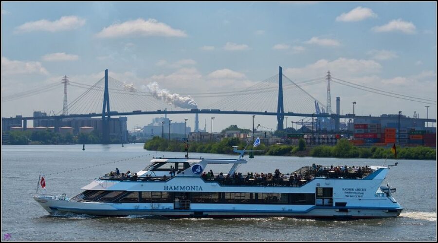 Hamburg: 2-Hour Sightseeing Cruise to Blankenese - HafenCity and Elbphilharmonie: The City-Facing Finale