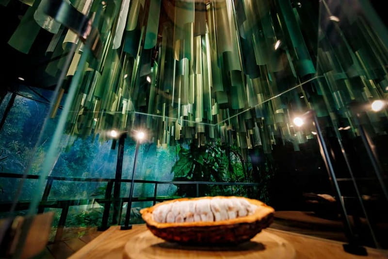 Hamburg: Chocoversum Guided Tour with Tastings - Practical tips so your tour goes smoothly