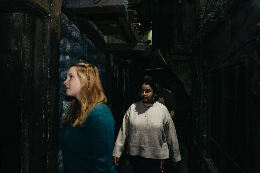 Hamburg: Hamburg Dungeon Admission Ticket - Crowd energy and actor interactions: laughs, screams, and being part of it