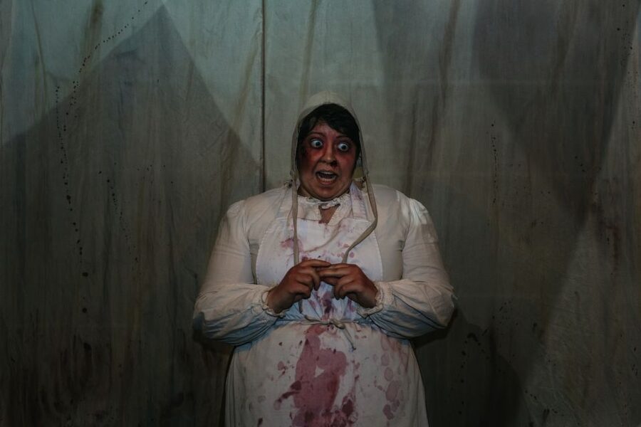 Hamburg: Hamburg Dungeon Admission Ticket - Who should go, and who might want to skip
