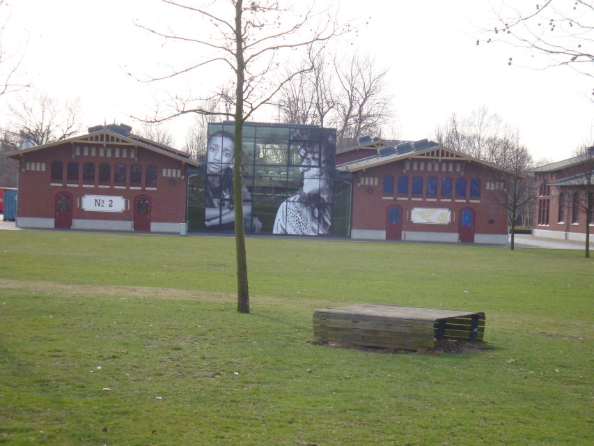 Hamburg Harbor: 3.5-Hour Guided Tour by Bike - Veddel Quarter: Golden House and Ballinstadt Emigration Museum