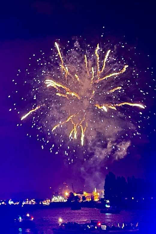 Hamburg: New Years Eve Harbour Cruise - Key things that make this cruise worth your time