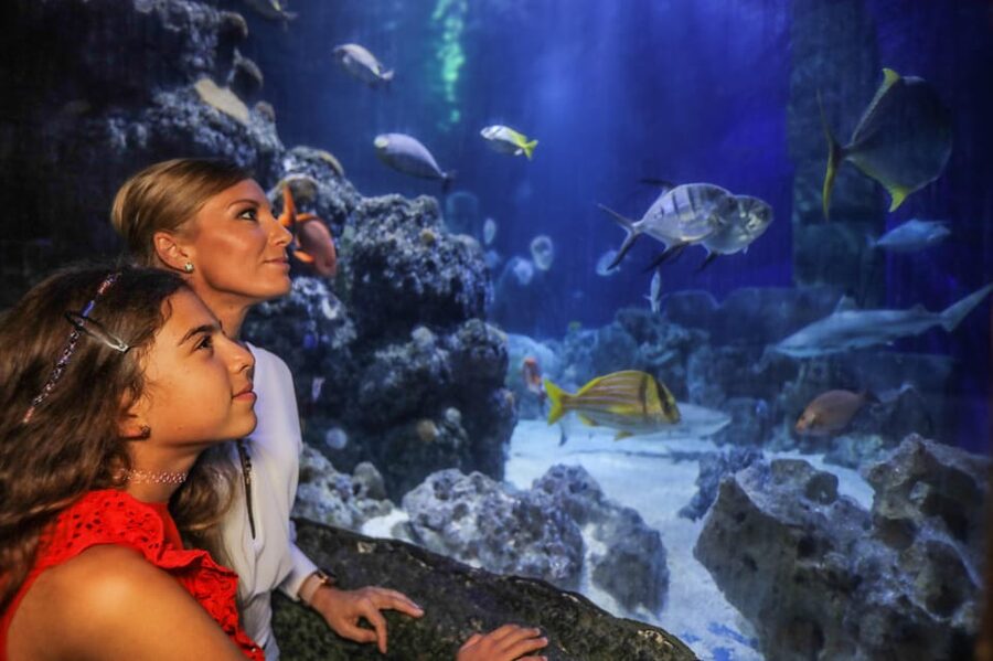 Hanover: SEA LIFE Entry Ticket - Key things I’d circle before you go