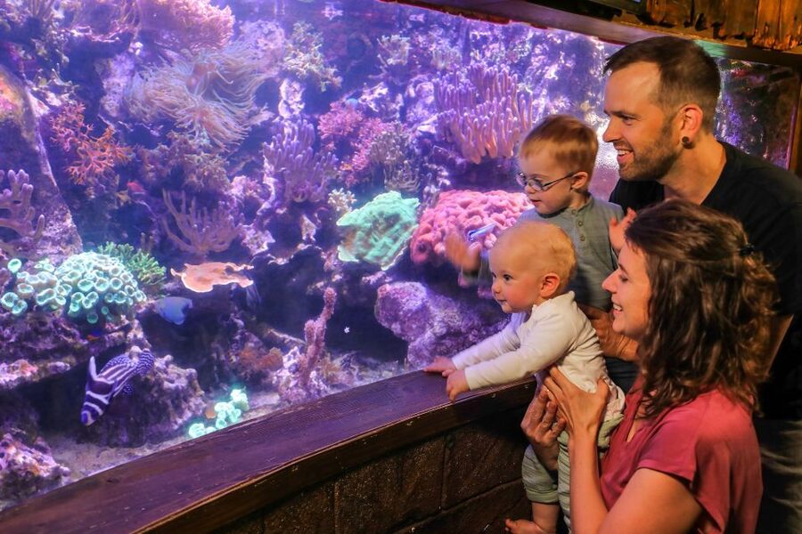 Hanover: SEA LIFE Entry Ticket - Getting there at Herrenhausen: easy by rail, quick by car