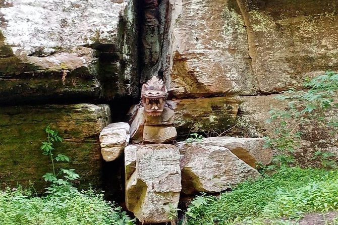 Hassle-free Bohemian & Saxon Switzerland Trip from Dresden - Lunch, snacks, and pacing that keeps you from running on empty