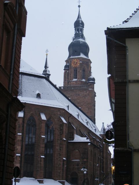 Heidelberg: 2-Hour Crime Tour with Costumed Guide - Town Hall and Market Square: Behind the Facade in Heidelberg’s Center
