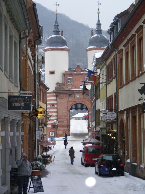 Heidelberg: 2-Hour Crime Tour with Costumed Guide - Language, Comfort, and the Stuff You Should Actually Prepare