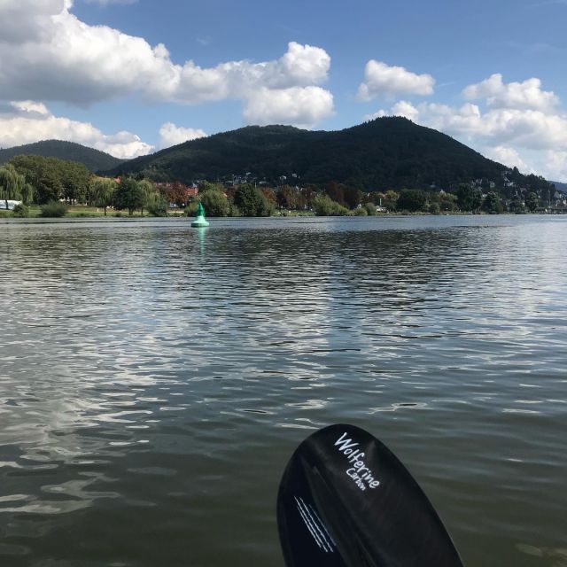 Heidelberg: 2-Hour Kayak Tour - Why kayaking the Neckar is such a good way to see Heidelberg