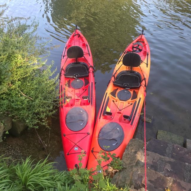 Heidelberg: 2-Hour Kayak Tour - The castle and old town, framed by the river
