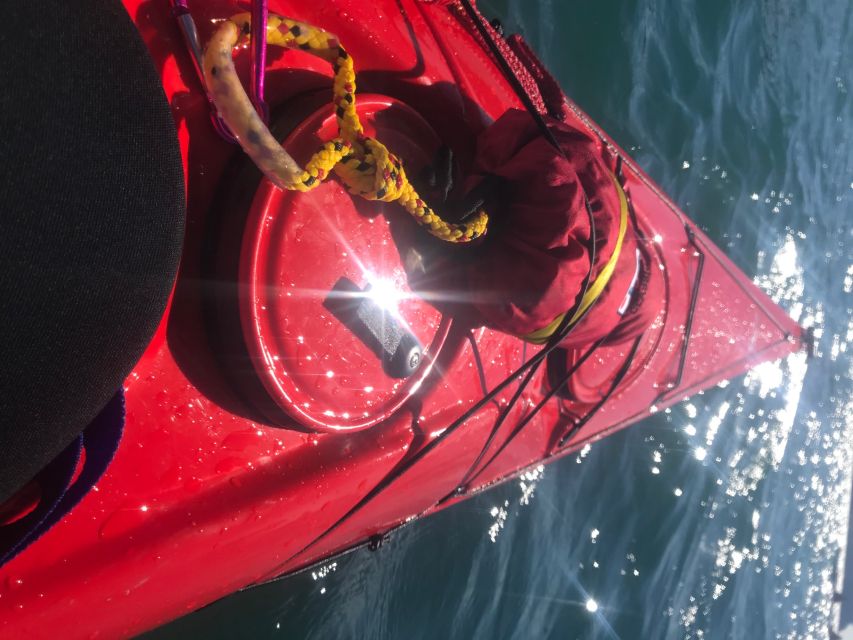 Heidelberg: 2-Hour Kayak Tour - Small-group energy, friendly guides, and what it means for your experience